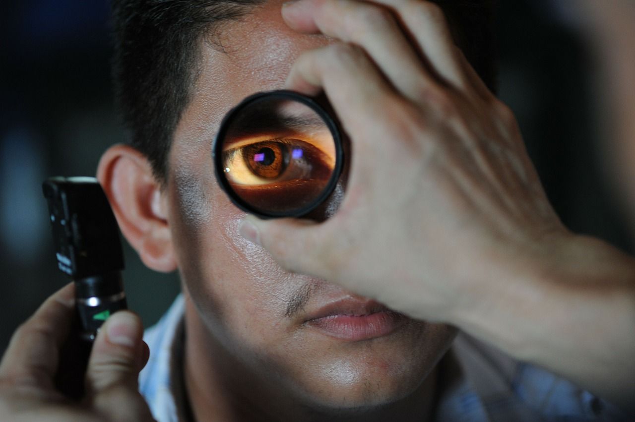 W jaki sposób okulista ocenia budowę oka?