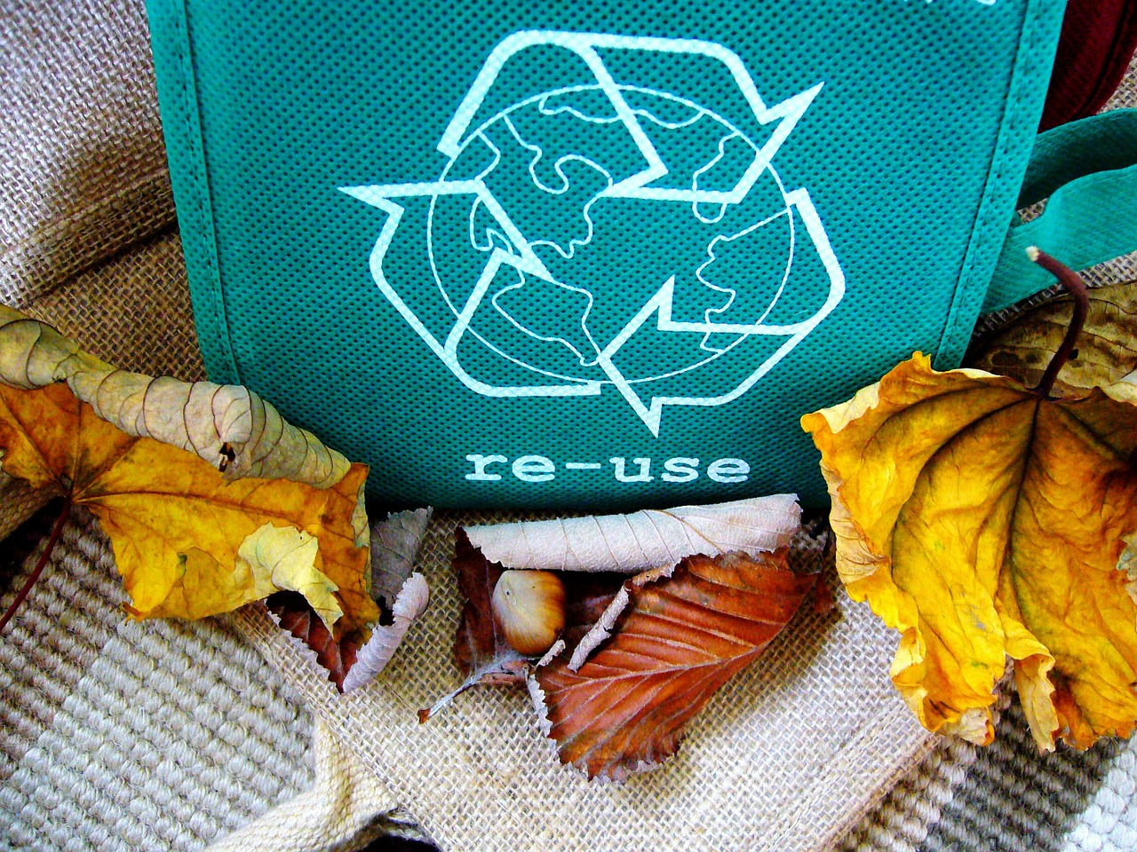 Recykling – jak każdy z nas może w prawidłowy sposób segregować swoje śmieci